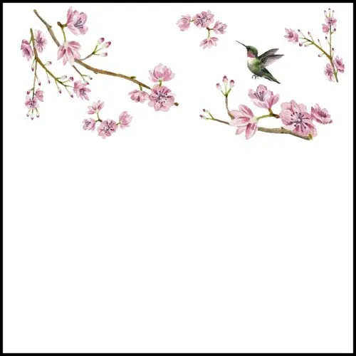 Nicolette Mayer - Note Cards with Acrylic Holder