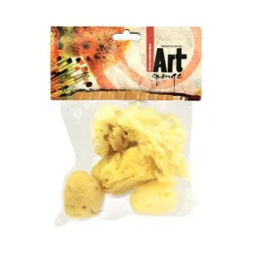 Pro Art Sea Sponge Pack